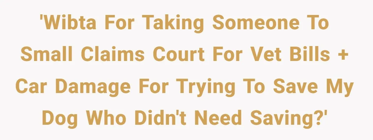 'WIBTA for taking someone to small claims court for vet bills + car damage for trying to save my dog who didn't need saving?'