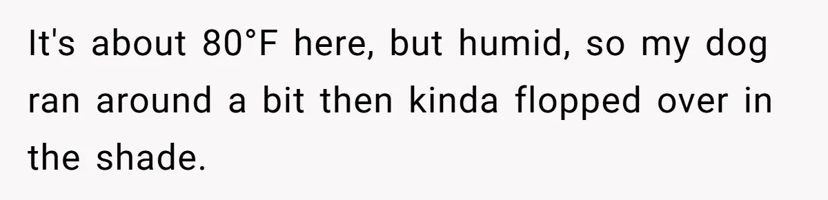 It's about 80°F here, but humid, so my dog ran around a bit then kinda flopped over in the shade.