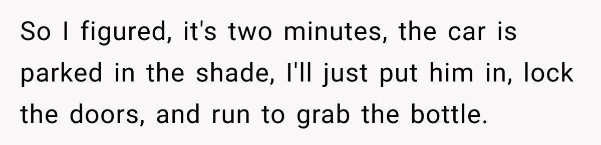 So I figured, it's two minutes, the car is parked in the shade, I'll just put him in, lock the doors, and run to grab the bottle.