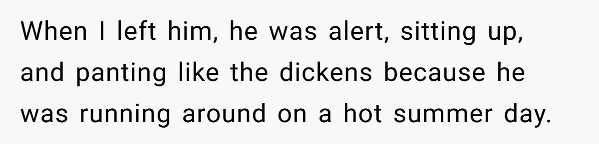 When I left him, he was alert, sitting up, and panting like the dickens because he was running around on a hot summer day.