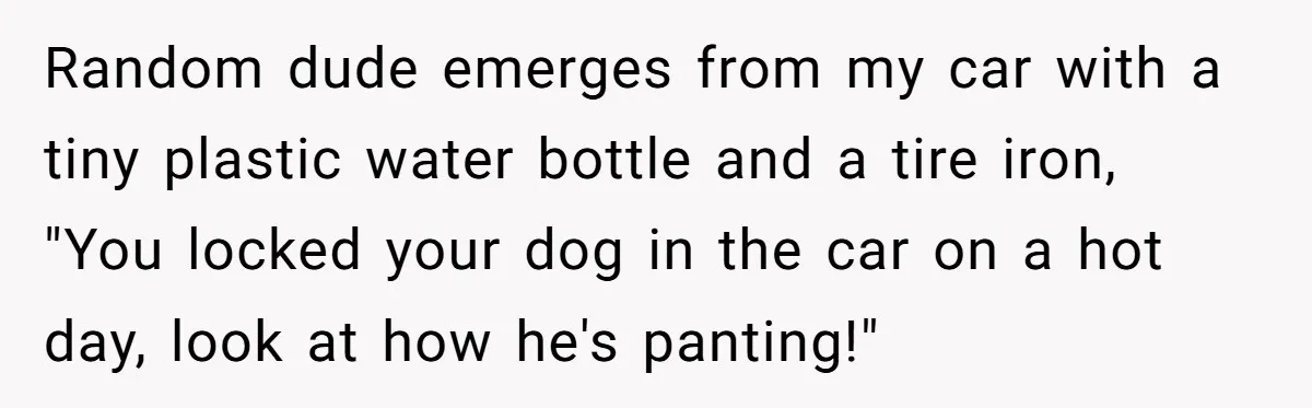 Random dude emerges from my car with a tiny plastic water bottle and a tire iron, "You locked your dog in the car on a hot day, look at how...