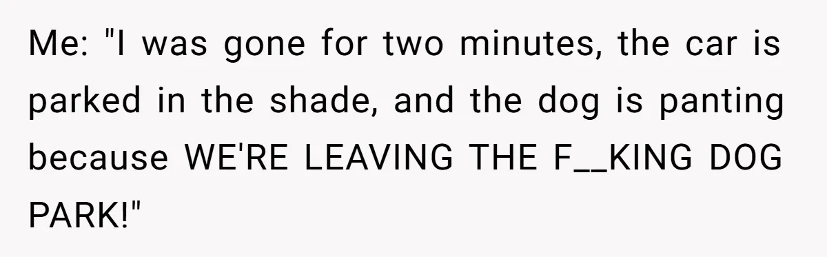 Me: "I was gone for two minutes, the car is parked in the shade, and the dog is panting because WE'RE LEAVING THE F__KING DOG PARK!"