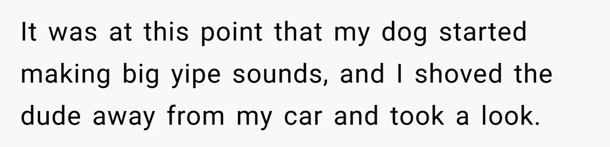 It was at this point that my dog started making big yipe sounds, and I shoved the dude away from my car and took a look.
