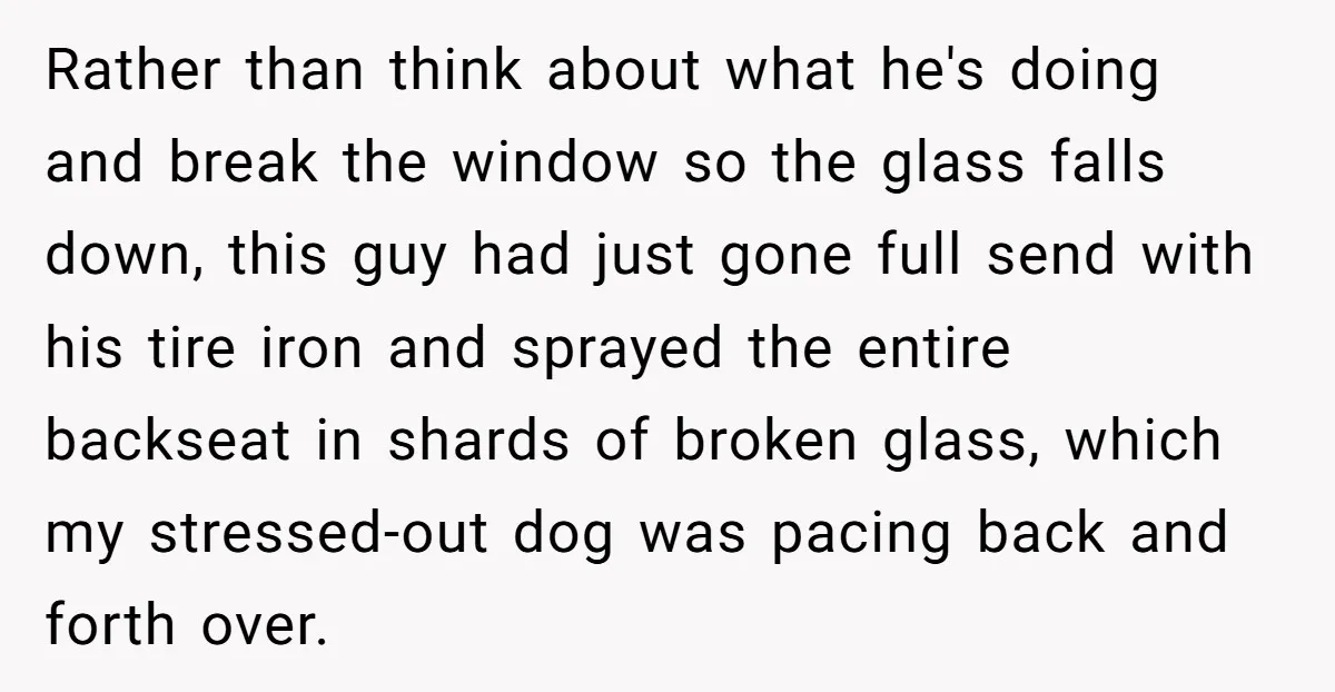 Rather than think about what he's doing and break the window so the glass falls down, this guy had just gone full send with his tire iron and sprayed the...