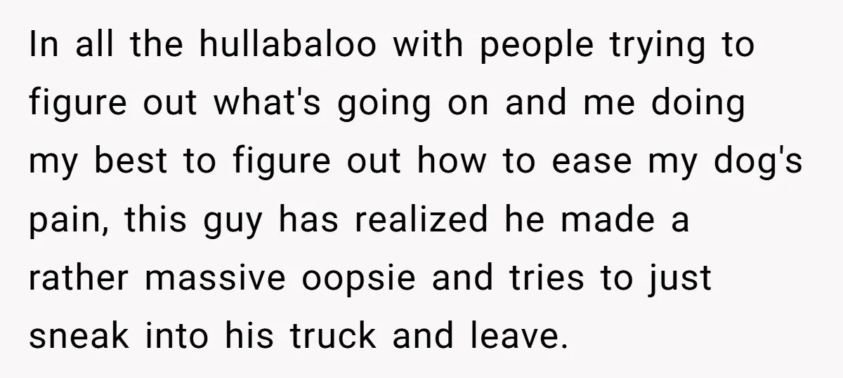 In all the hullabaloo with people trying to figure out what's going on and me doing my best to figure out how to ease my dog's pain, this guy has...