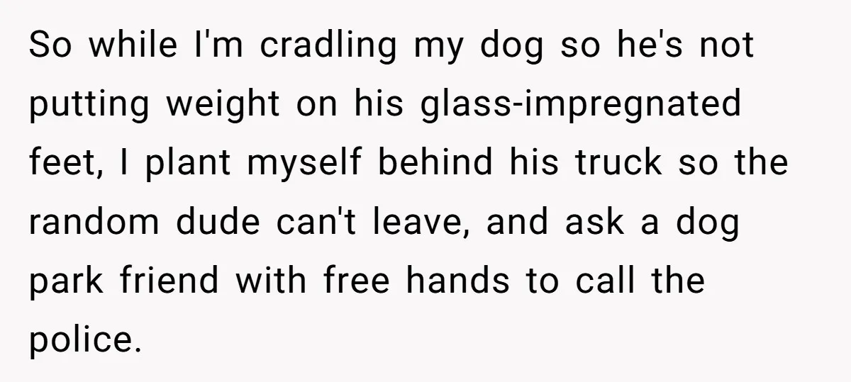 So while I'm cradling my dog so he's not putting weight on his glass-impregnated feet, I plant myself behind his truck so the random dude can't leave, and ask a...