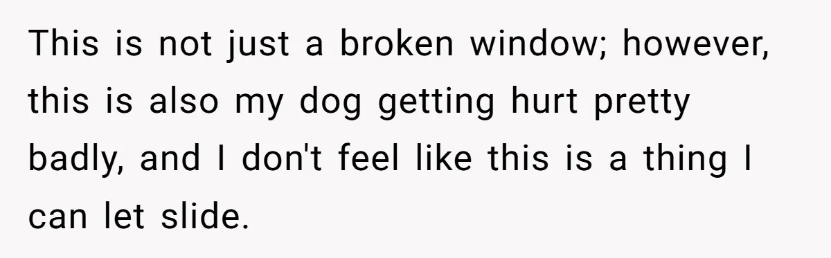 This is not just a broken window; however, this is also my dog getting hurt pretty badly, and I don't feel like this is a thing I can let slide.