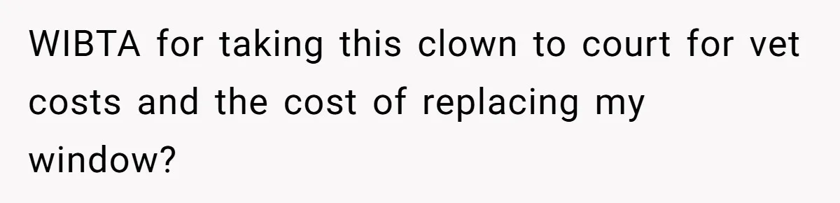 WIBTA for taking this clown to court for vet costs and the cost of replacing my window?