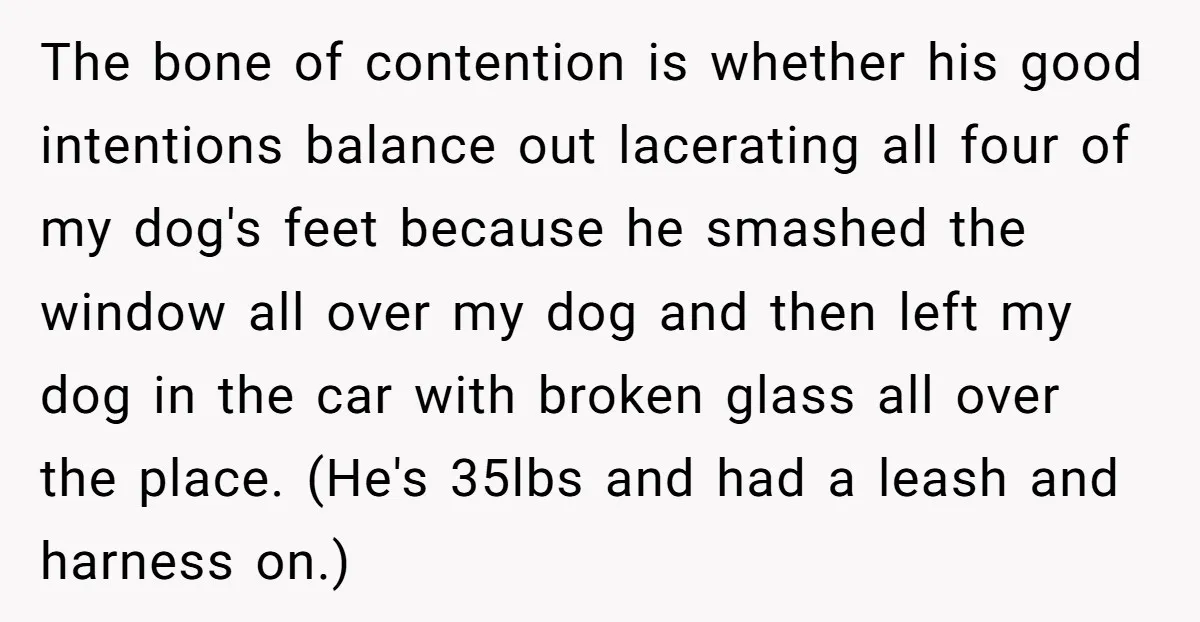 The bone of contention is whether his good intentions balance out lacerating all four of my dog's feet because he smashed the window all over my dog and then left...