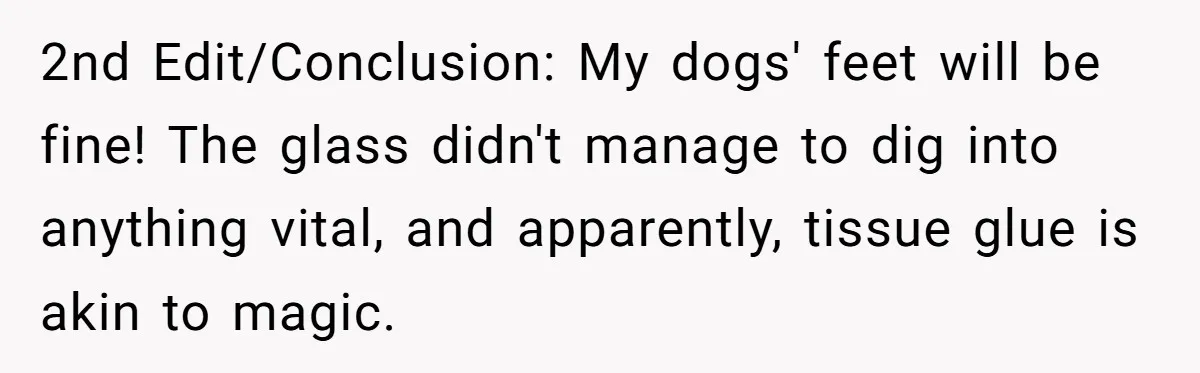 2nd Edit/Conclusion: My dogs' feet will be fine! The glass didn't manage to dig into anything vital, and apparently, tissue glue is akin to magic.