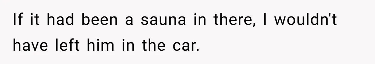 If it had been a sauna in there, I wouldn't have left him in the car.