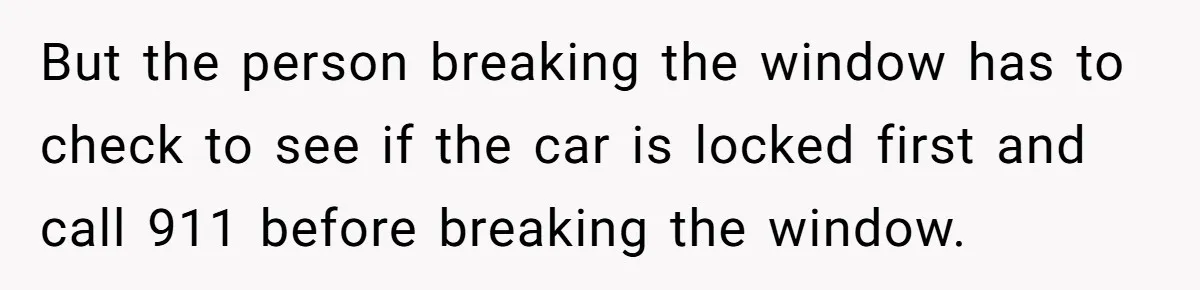 But the person breaking the window has to check to see if the car is locked first and call 911 before breaking the window.