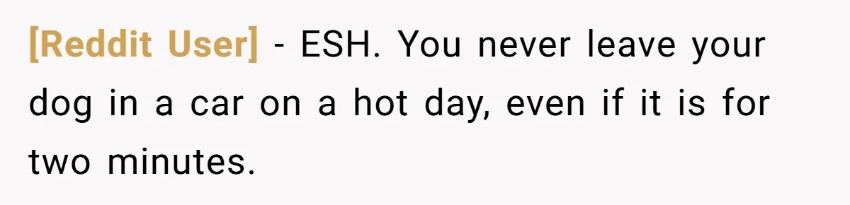 [Reddit User] − ESH. You never leave your dog in a car on a hot day, even if it is for two minutes.