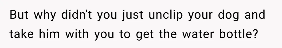 But why didn't you just unclip your dog and take him with you to get the water bottle?
