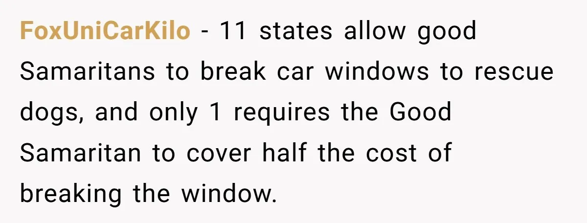 FoxUniCarKilo − 11 states allow good Samaritans to break car windows to rescue dogs, and only 1 requires the Good Samaritan to cover half the cost of breaking the window.