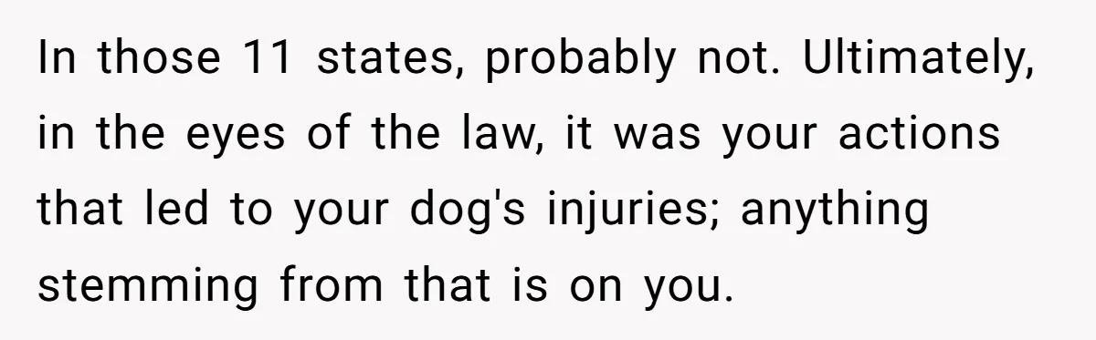 In those 11 states, probably not. Ultimately, in the eyes of the law, it was your actions that led to your dog's injuries; anything stemming from that is on you.