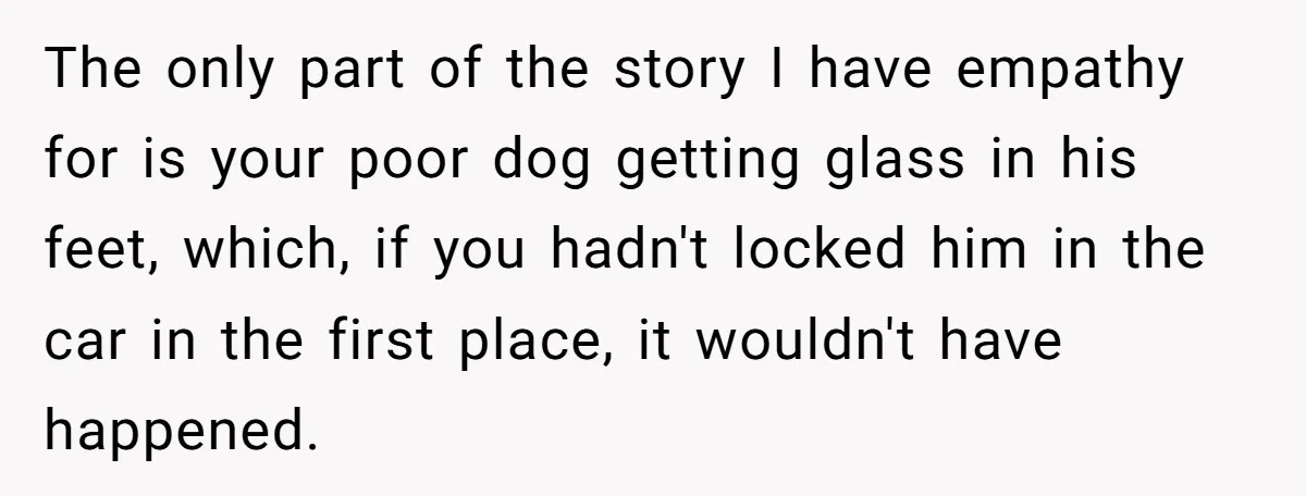 The only part of the story I have empathy for is your poor dog getting glass in his feet, which, if you hadn't locked him in the car in the...