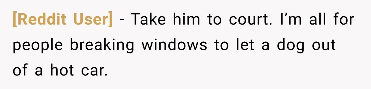 [Reddit User] − Take him to court. I’m all for people breaking windows to let a dog out of a hot car.