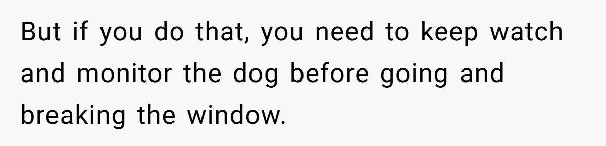 But if you do that, you need to keep watch and monitor the dog before going and breaking the window.