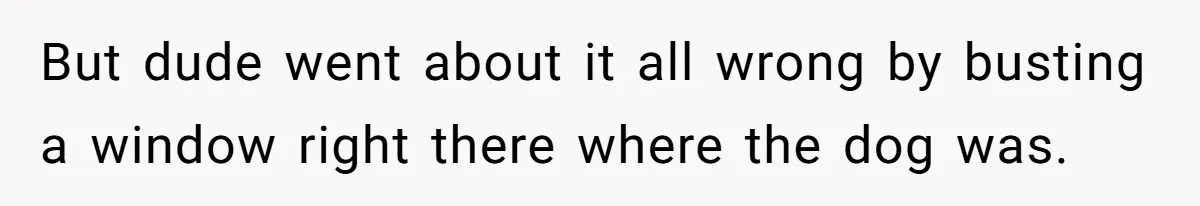 But dude went about it all wrong by busting a window right there where the dog was.