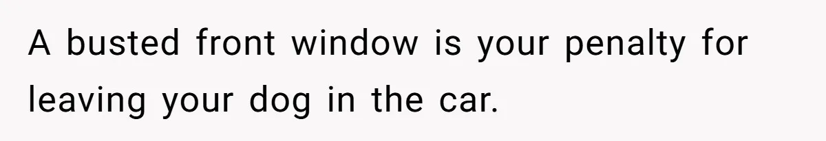 A busted front window is your penalty for leaving your dog in the car.