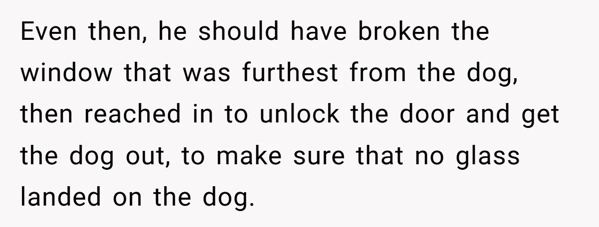 Even then, he should have broken the window that was furthest from the dog, then reached in to unlock the door and get the dog out, to make sure that...