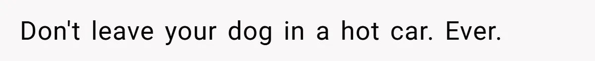 Don't leave your dog in a hot car. Ever.
