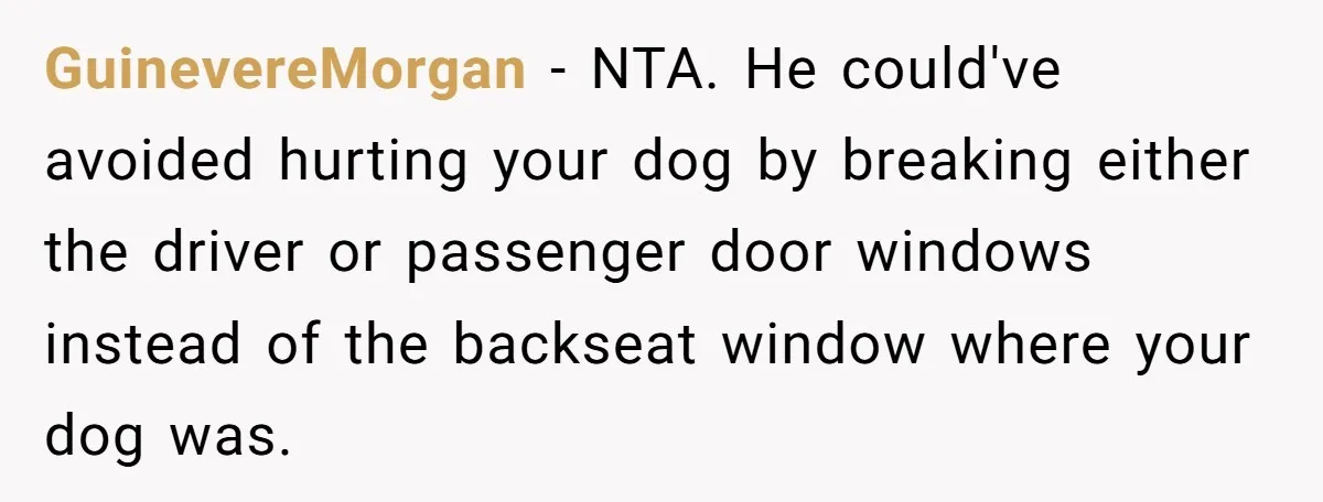 GuinevereMorgan − NTA. He could've avoided hurting your dog by breaking either the driver or passenger door windows instead of the backseat window where your dog was.
