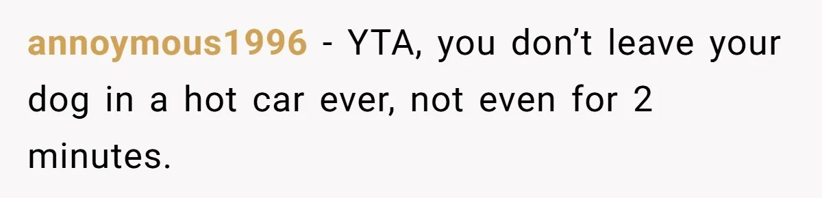 annoymous1996 − YTA, you don’t leave your dog in a hot car ever, not even for 2 minutes.