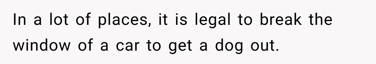 In a lot of places, it is legal to break the window of a car to get a dog out.