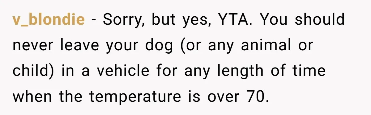v_blondie − Sorry, but yes, YTA. You should never leave your dog (or any animal or child) in a vehicle for any length of time when the temperature is over...