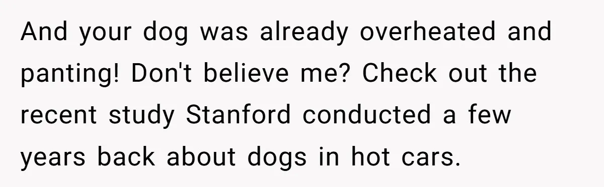 And your dog was already overheated and panting! Don't believe me? Check out the recent study Stanford conducted a few years back about dogs in hot cars.