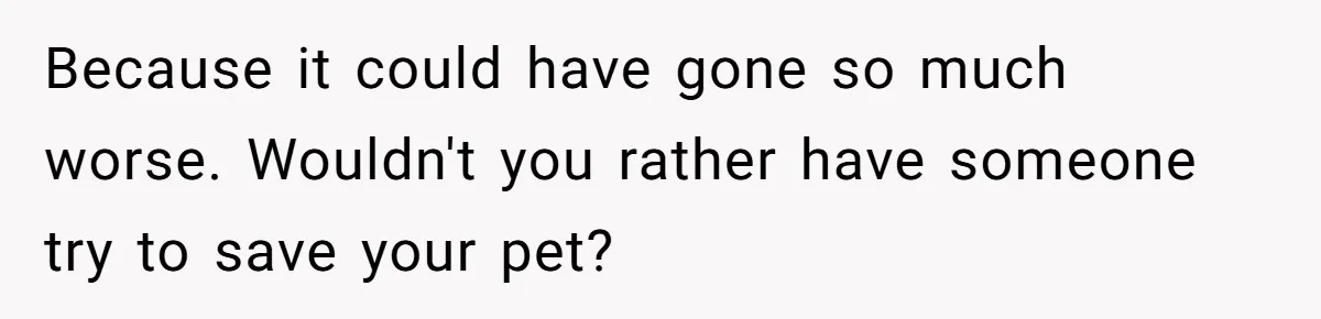 Because it could have gone so much worse. Wouldn't you rather have someone try to save your pet?