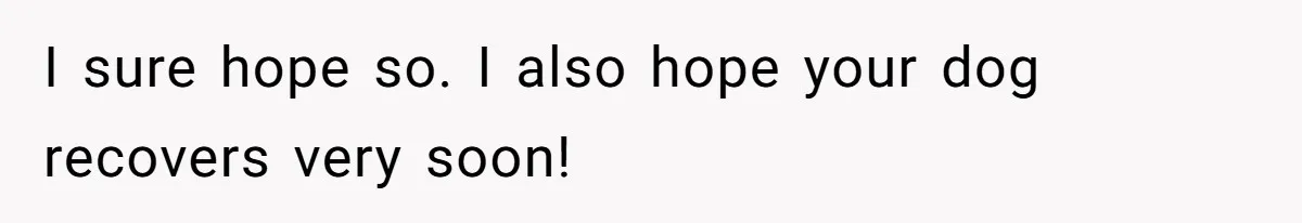 I sure hope so. I also hope your dog recovers very soon!