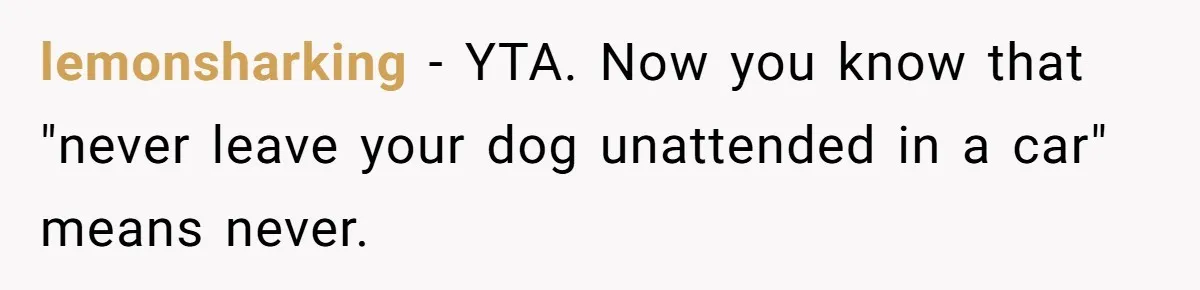 lemonsharking − YTA. Now you know that "never leave your dog unattended in a car" means never.