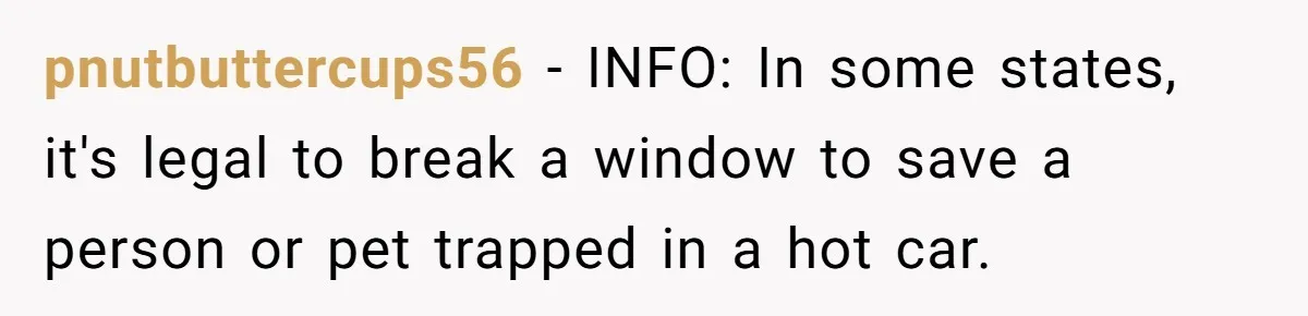 pnutbuttercups56 − INFO: In some states, it's legal to break a window to save a person or pet trapped in a hot car.