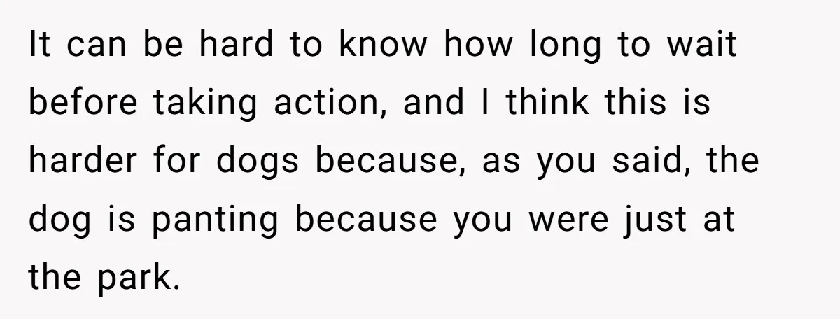 It can be hard to know how long to wait before taking action, and I think this is harder for dogs because, as you said, the dog is panting because...