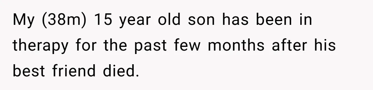 My (38m) 15 year old son has been in therapy for the past few months after his best friend died.