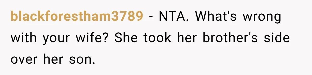 blackforestham3789 − NTA. What's wrong with your wife? She took her brother's side over her son.