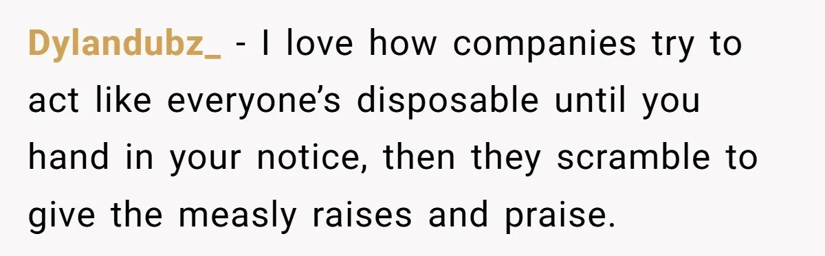 Dylandubz_ − I love how companies try to act like everyone’s disposable until you hand in your notice, then they scramble to give the measly raises and praise.