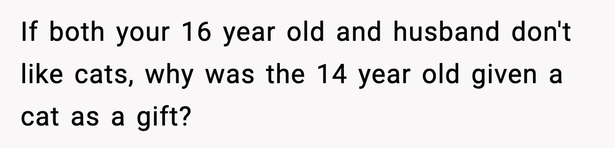 If both your 16 year old and husband don't like cats, why was the 14 year old given a cat as a gift?