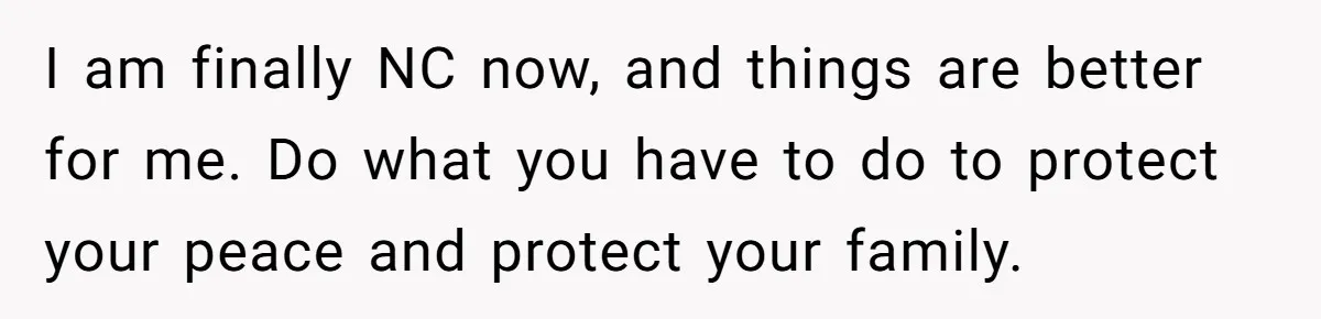 I am finally NC now, and things are better for me. Do what you have to do to protect your peace and protect your family.