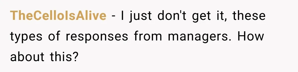 TheCelloIsAlive − I just don't get it, these types of responses from managers. How about this?