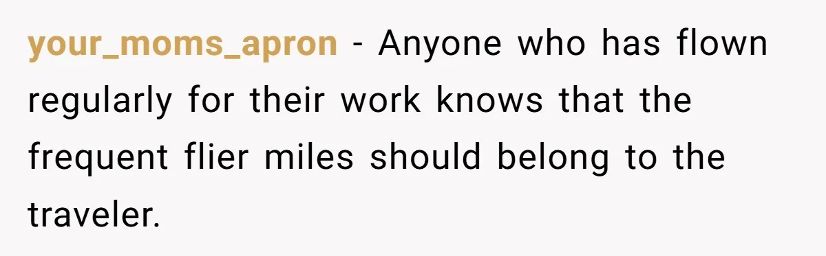 your_moms_apron − Anyone who has flown regularly for their work knows that the frequent flier miles should belong to the traveler.