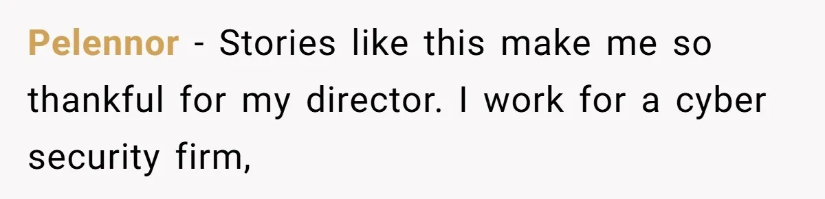 Pelennor − Stories like this make me so thankful for my director. I work for a cyber security firm,