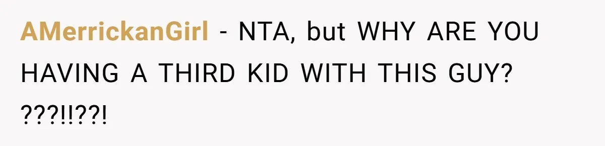 AMerrickanGirl − NTA, but WHY ARE YOU HAVING A THIRD KID WITH THIS GUY? ???!!??!