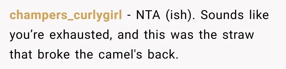 champers_curlygirl − NTA (ish). Sounds like you’re exhausted, and this was the straw that broke the camel's back.