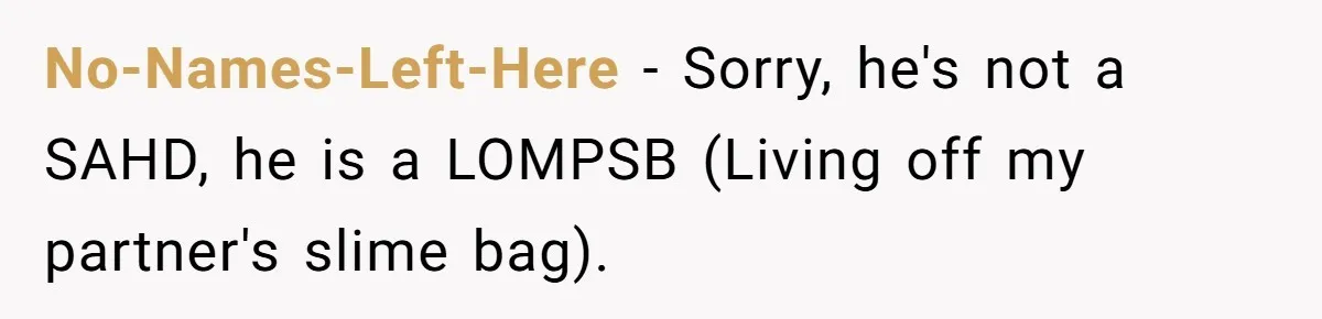 No-Names-Left-Here − Sorry, he's not a SAHD, he is a LOMPSB (Living off my partner's slime bag).
