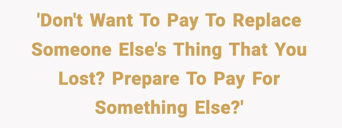 'Don't want to pay to replace someone else's thing that you lost? Prepare to pay for something else?'