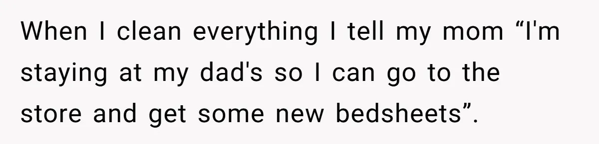 When I clean everything I tell my mom “I'm staying at my dad's so I can go to the store and get some new bedsheets”.